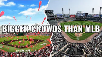 Why Japanese Baseball Keeps Outdrawing MLB in Attendance