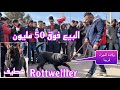 الكلب مايك وشقيقه يصنعان الحدث بسوق سطيف للكلاب سوق سطيف للكلاب 2022