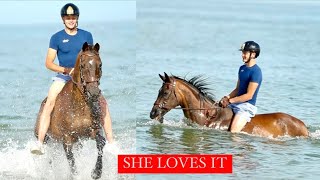 Swimming with my 28 year old horse in the OCEAN😍