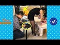 Funnys 2018  people doing stupid things compilation p1