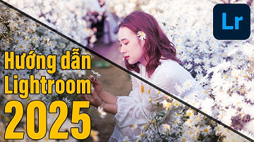 Hướng dẫn sử dụng Lightroom CC 2025 cơ bản trên máy tính