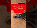 تعرف على سرعة موتور الغسالة الاوتوماتيك القوية غسالة Washing Machine Short Shorts Video Short تعرف على سرعة موتور الغسالة الاوتوماتيك القوية غسالة Washing Machine Short Shorts Video Short