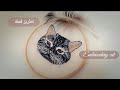 كيفية تطريز قطة | طريقة تطريز الرسومات على القماش | embroidery cat