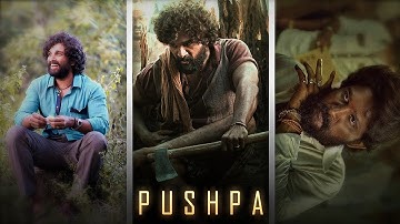 Pushpa X Excuses | Allu Arjun Whatsapp Status | Ap Dhillion | #pushpa #alluarjun #whatsappstatus