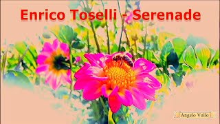 #Enrico Toselli   Serenade