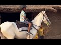 Ibrahim chattas son rides horse at ibrahim chatta film village and resort