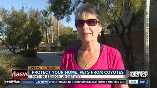 Protect your home, pets from coyotes