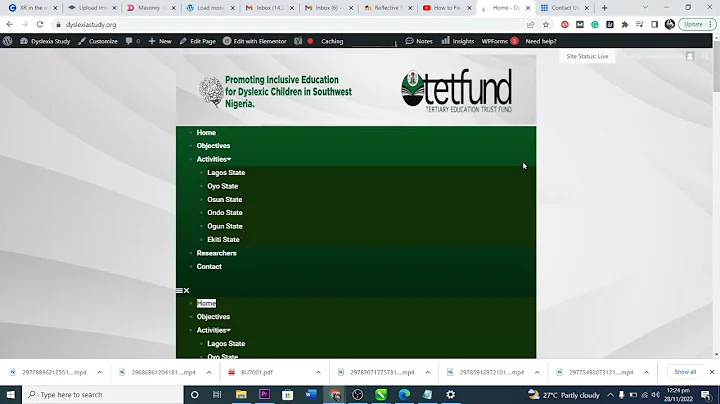 How to solve double menu Issue on Elementor | Fixing Double Menu