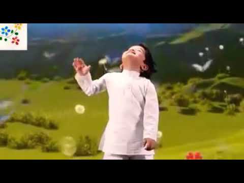 Bakrid 2017 Whatsapp Status