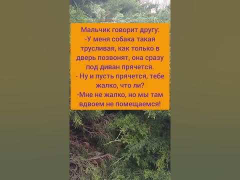 Улыбайся чаще) - YouTube