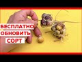 Как вырастить чеснок из бульбочек?