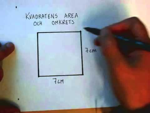 Geometri kvadratens area och omkrets