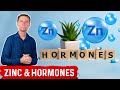 Zinc Controls Many Key Hormones