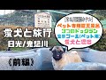 【愛犬と温泉旅行♨️(前編)】ペットと一緒にお風呂に入れる宿『きぬ川国際ホテル』ペット専用露天風呂、温泉プール(ペット用)、3つのドッグラン付き！in日光/鬼怒川