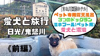 【愛犬と温泉旅行♨️(前編)】ペットと一緒にお風呂に入れる宿『きぬ川国際ホテル』ペット専用露天風呂、温泉プール(ペット用)、3つのドッグラン付き！in日光/鬼怒川