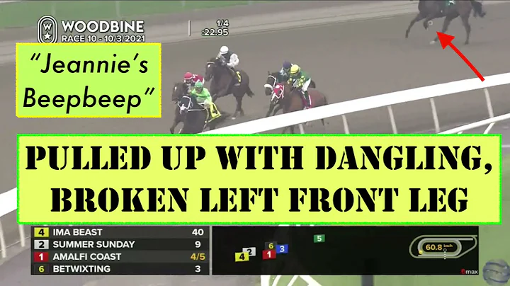 "Jeannie's Beepbeep,"  DANGLING BROKEN LEG at Wood...