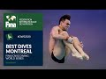 Daley, Williams &amp; more: The best single dives from Montreal! | FINA/CNSG Diving World Series 2020