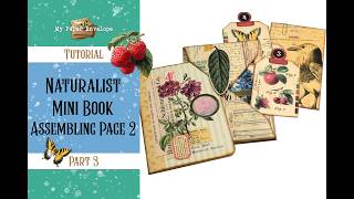 Natural History Mini Book Vol 2-Part 3-Assembling the Page 2- Tutorial
Hello and welcome!
Today we will assemble the second pocket page from the mini book.
A digital kit that I use can be purchased in my Etsy store:
https://tinyurl.com/aza6jpra
You can find all the video tutorials related to this project in the Playlist below:
https://tinyurl.com/3ecsst5x
To view the Tools and Supplies List, please visit this post on my blog:
https://tinyurl.com/4dm54ct5
Thank you!
⭐ You can find me here: ⭐
Etsy: https://www.etsy.com/shop/MyPaperEnvelope
Ko-Fi: https://ko-fi.com/mypaperenvelope
Blog: https://clayguana.blogspot.com
Instagram: https://www.instagram.com/clayguana/
Facebook: https://www.facebook.com/ClayGuana/ Natural History Mini Book Vol 2-Part 3-Assembling the Page 2- Tutorial