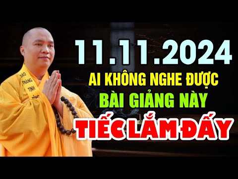 11.11.2024 AI KHÔNG