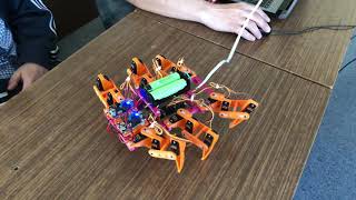 Hexapod v2 walking with FRUND (turn around v2)