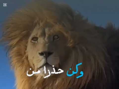 القوة هي أن تدوس على وجعك تحت قدمك و تمشي مبتسما أمام كل من ينتظر سقوطك وأن تكون على يقين 