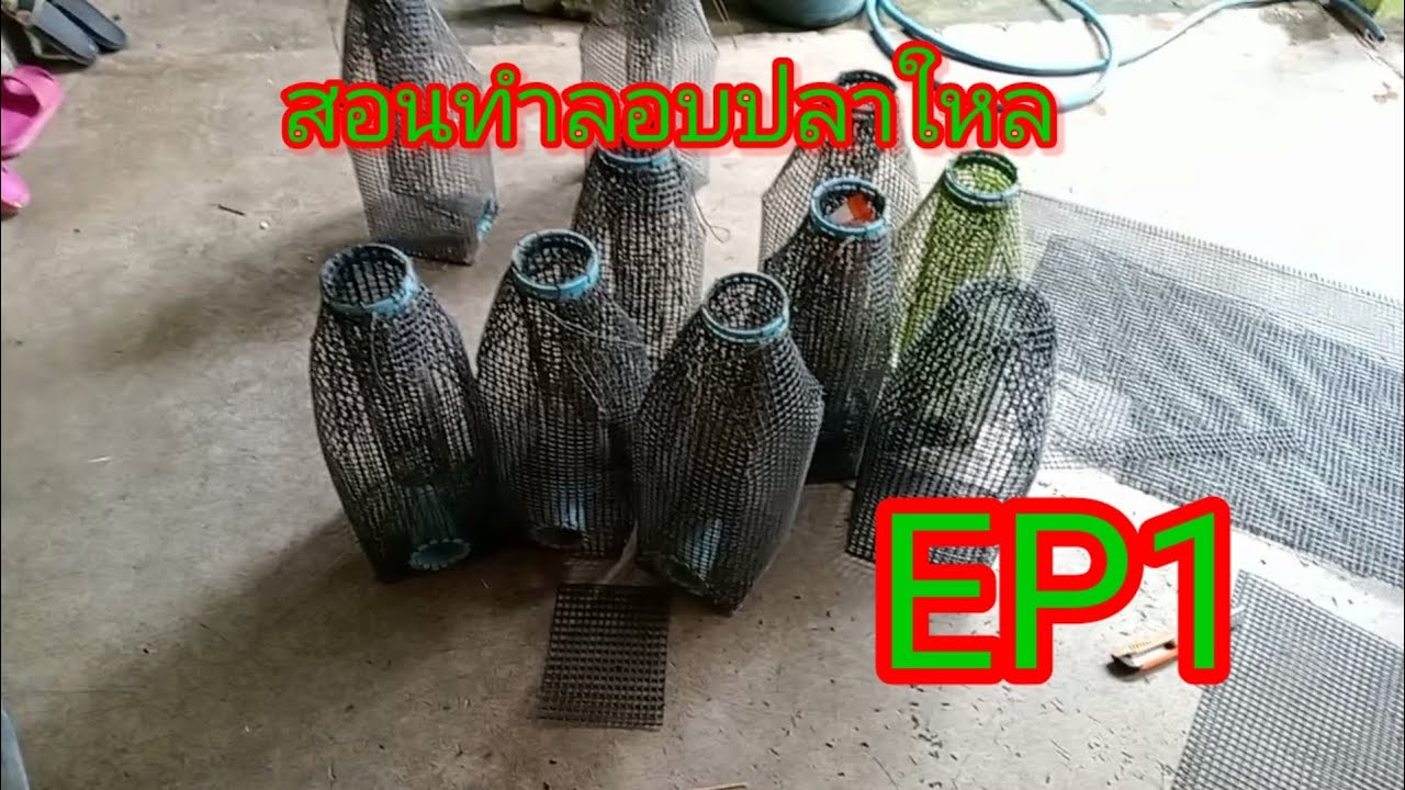 ทำตุ้มดักปลาใหลด้วยตาข่ายพลาสติกดูจบทำดักเองได้เลยEP1