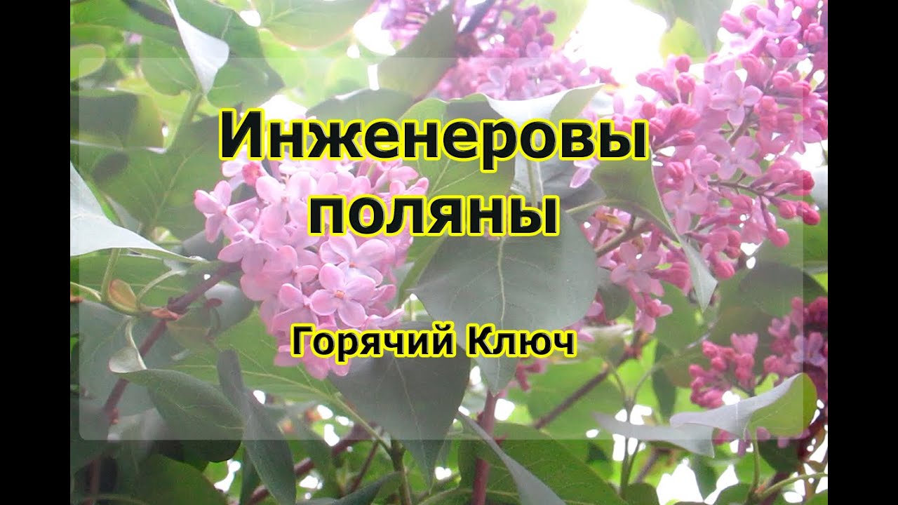 Инженеровы поляны. Место, куда можно выехать с автомобилем и отдохнуть ...