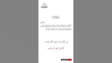سورة النبأ - من الآيه (16) إلى (19) القارئ فهد أبو شبيب 1445 هـ - 2023 م