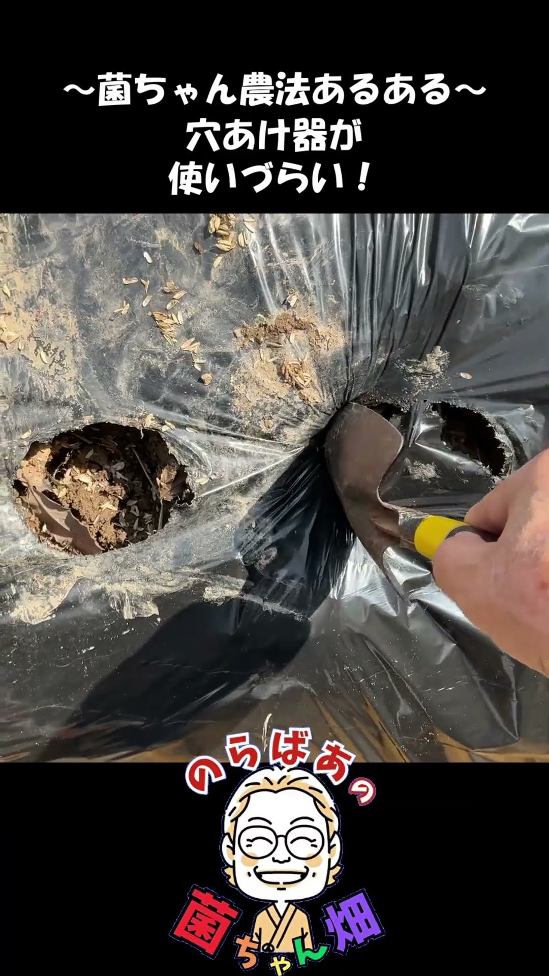 枝に当たってマルチに穴を開けるのが難しいことはありませんか？！【菌