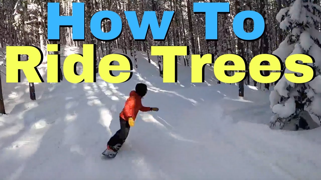 How To Snowboard Trees | Beginners Guide