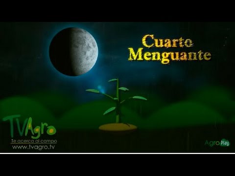 Fases de la luna en la agricultura - TvAgro por Juan Gonzalo Angel - YouTube