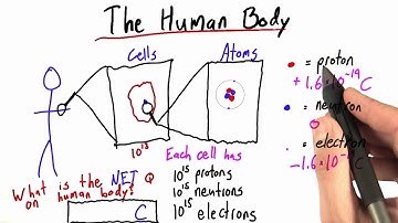 The Human Body - Intro to Physics