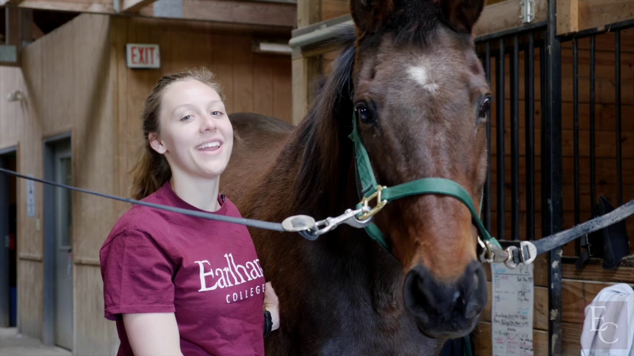 Earlham's Equestrian Program YouTube