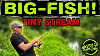 Sea Fishing Uk | Tiny Stream - BIG FISH!