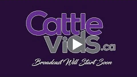 Stockade Round-Up 2021 - Lloyd Ex Junior Show