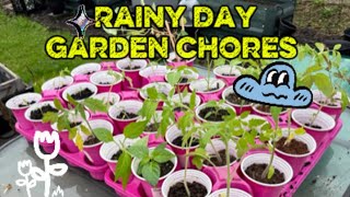 Rainy days don’t stop the garden grind 🌧️🌱