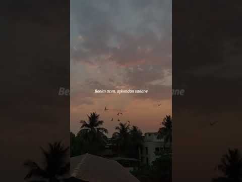 Rafet El Roman Feat Derya Unuturum Elbet Lyrics