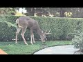 We see them almost every day