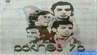 Video thumbnail of "Los Pakines- Tema para un Corazon Solitario."