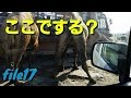 file17  九州自然動物公園【アフリカンサファリ】で春と動物を感じてみたv