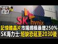記憶體晶片市場規模暴增250%！SK海力士CEO：短缺恐延至2030後【理財密碼】