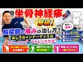 【坐骨神経痛】股関節の痛みの治し方！おしりのインナーマッスルトレーニング・ストレッチ方法！