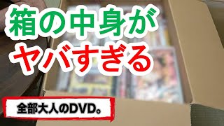 【江頭2:50】段ボールから大量の「大人のDVD」！好きなグラビアアイドルも発表！風吹ケイ【切り抜き】