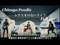 Chicago Poodle「シナリオのないライフ」/7th Single /full.ver/人生は波瀾万丈