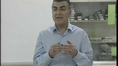 BLOSSOMS - The Stroboscopic Effect