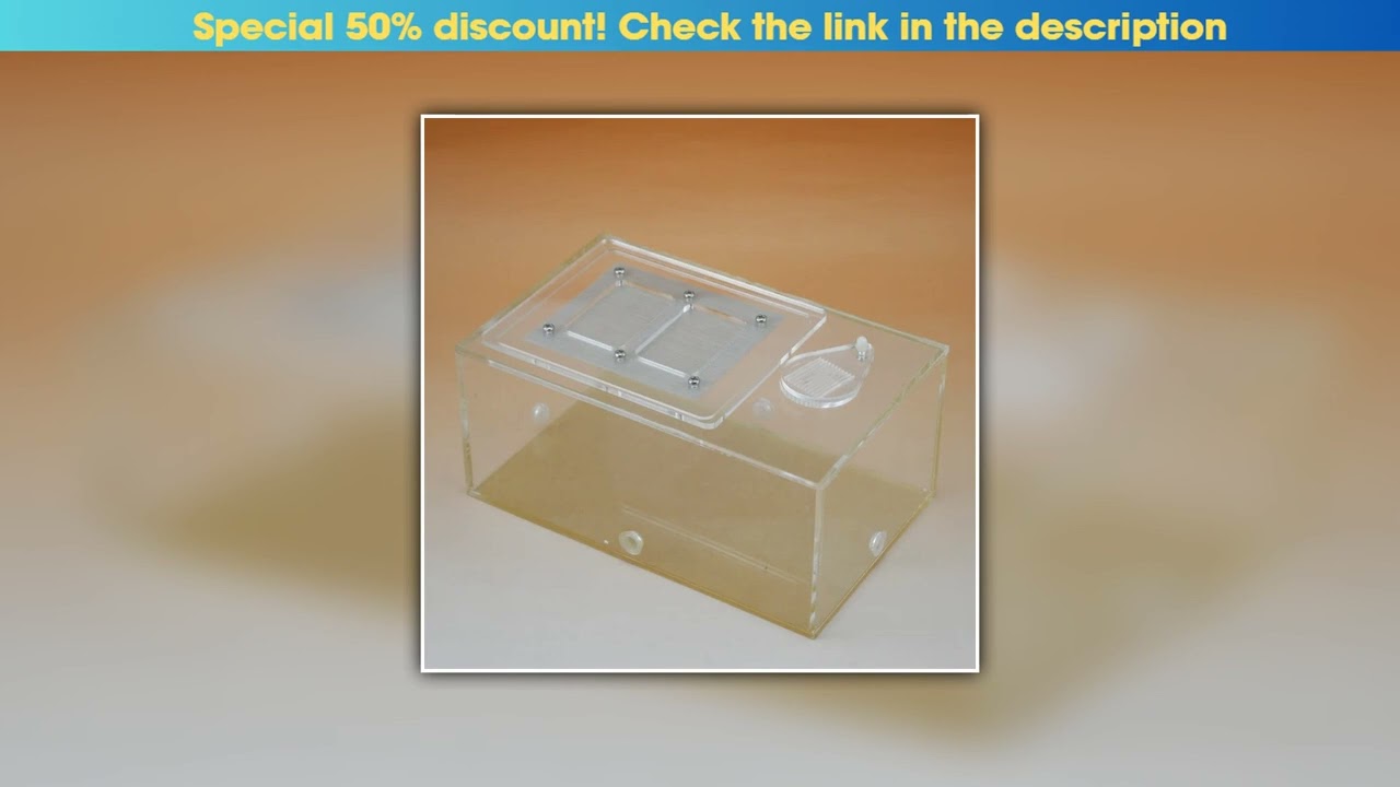 Today Only Acrylic tank feeding box Reptile breeding box Insect box Spider and scorpion breeding bo