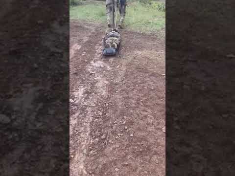 Евакуаційні пластикові ноші волокуші Cobra S (230см х 50см), видео 1