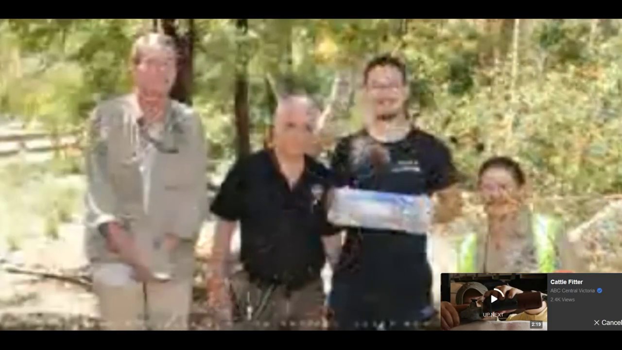 snake hunter dusty crum Snake Catcher Collingwood - Snake catcher removes Tiger snake from Collingwood Children's Farm