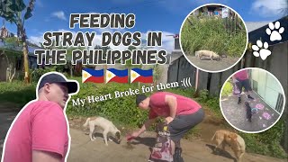 American's Heartwarming Mission: Feeding Stray Dogs in the Philippines