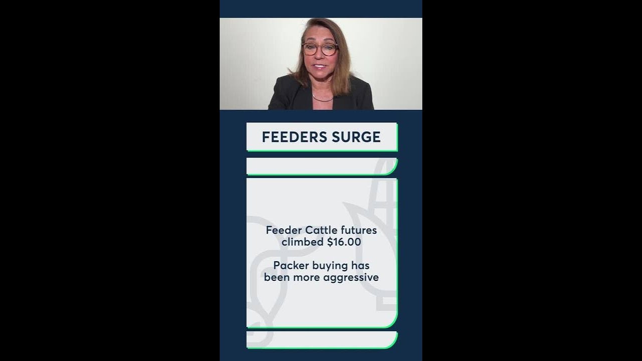 Livestock futures posted universal gains on Wednesday. 3/4/26